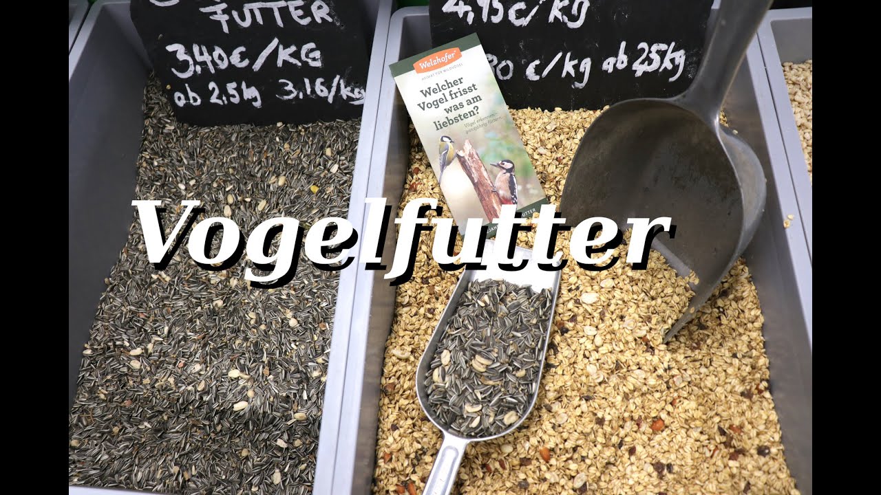 Vogelfutter - Welcher Vogel frisst was