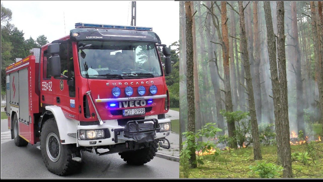 [TRĄBY] Straż pożarna alarmowo do pożaru poszycia leśnego - Akcja gaśnicza oraz dojazdy alarmowe