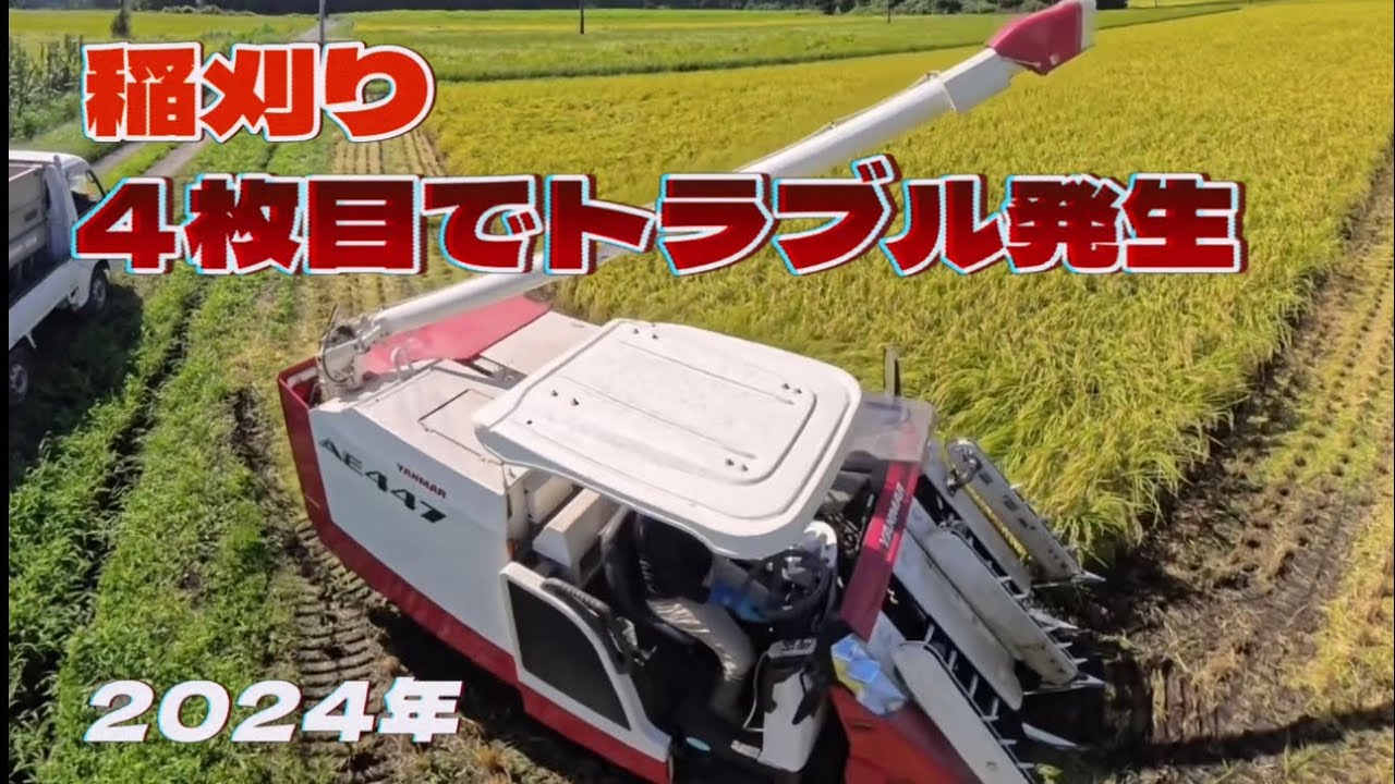 稲刈り　４枚目でトラブル発生　2024年