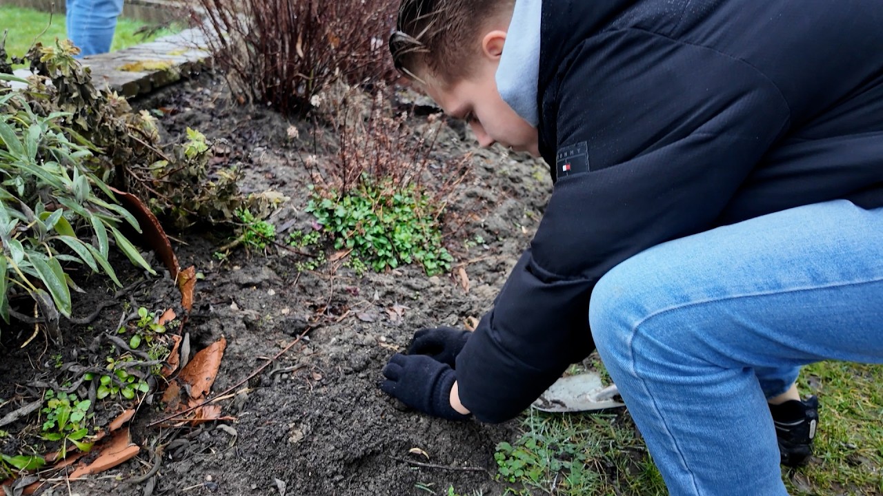Bloembollen en insectenhuisjes - Iets beteken voor de ander