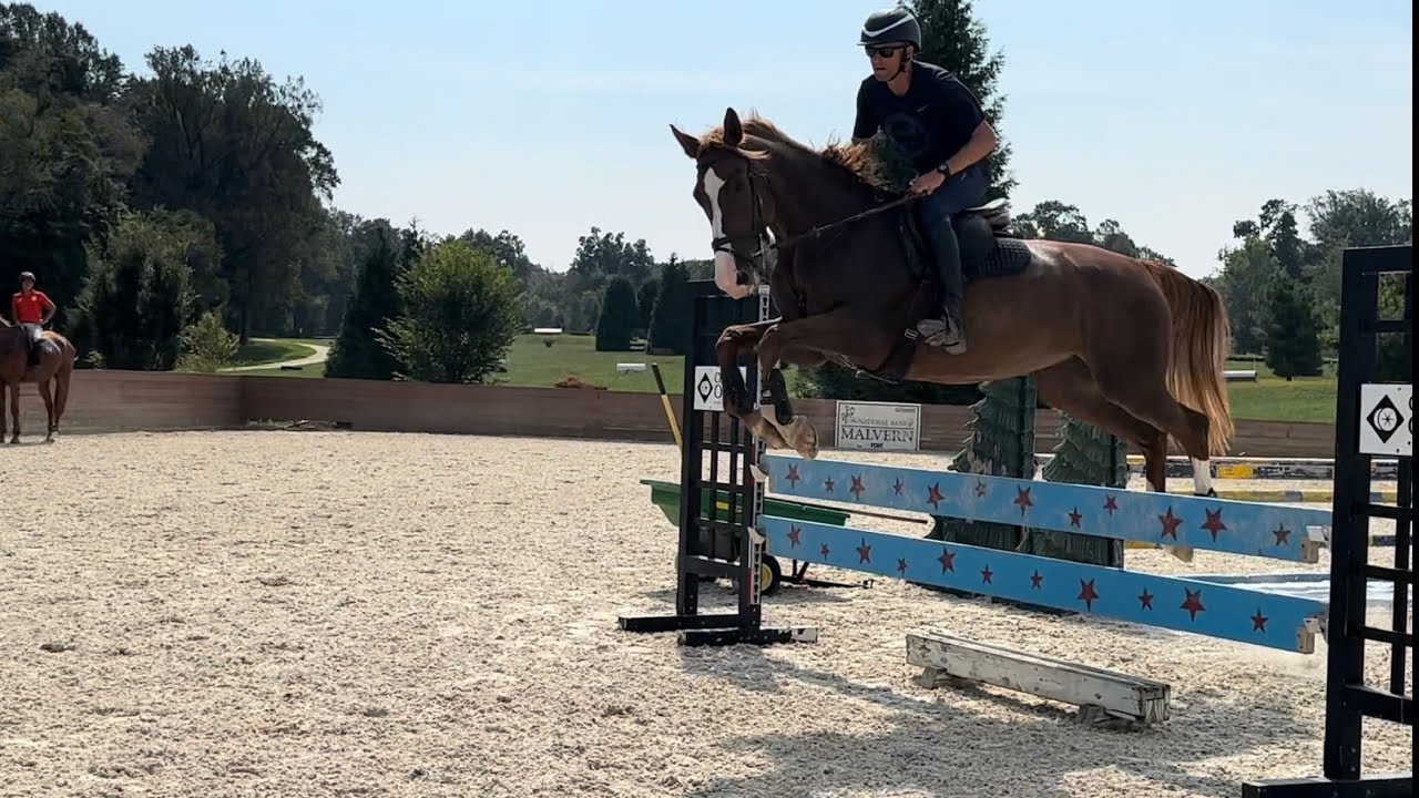Phoenix - Peter Wylde Jumping Training - Sept ‘25