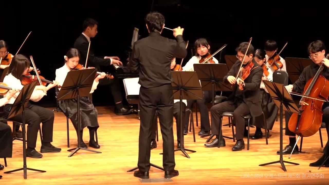Bizet - Carmen Overture  |  DS Chamber Orchestra