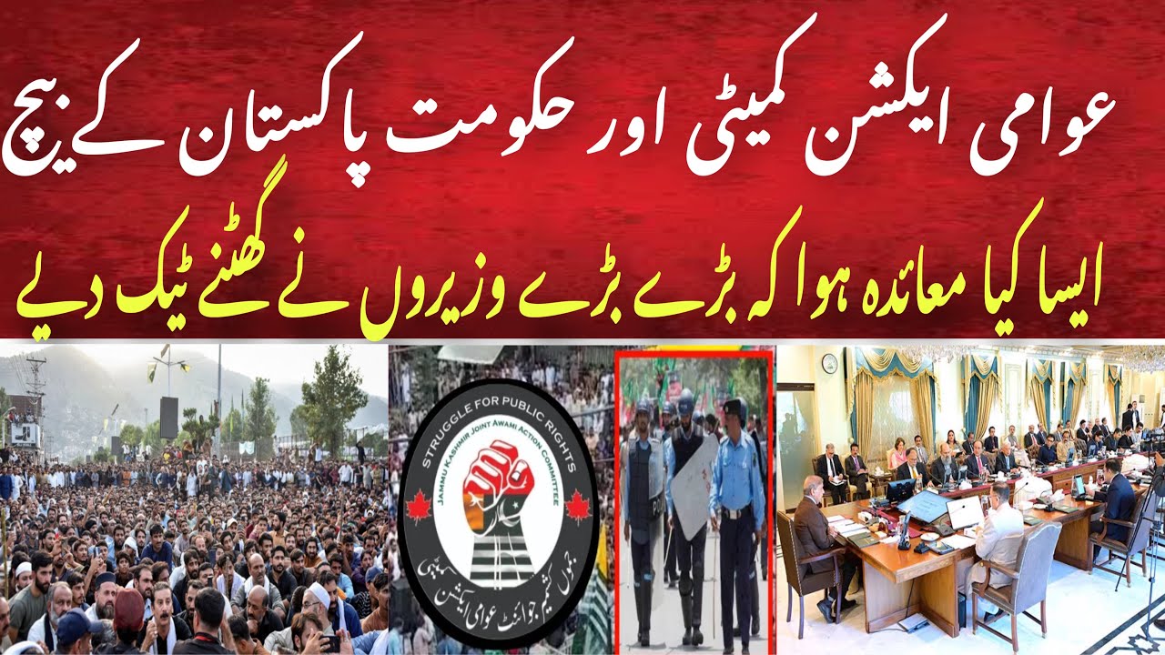 What crucial decisions does awami action commite and Pakistan Government makes togethoer !!