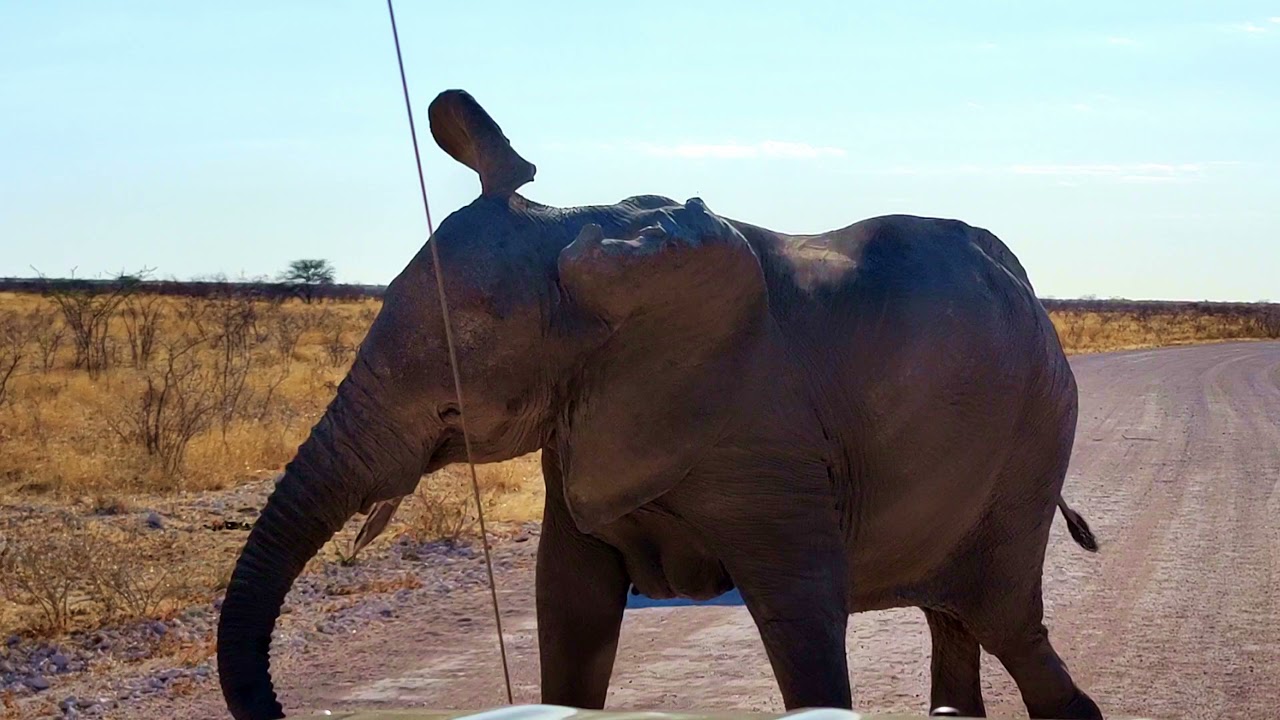 Namibië, Botswana & Zambia 2021
