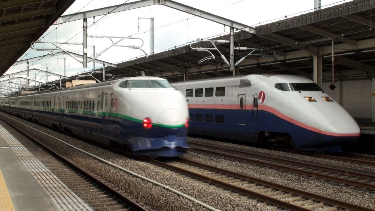 さよならE1系新幹線Max 朱鷺のひな誕生ラッピング 【Shinkansen E1 series】