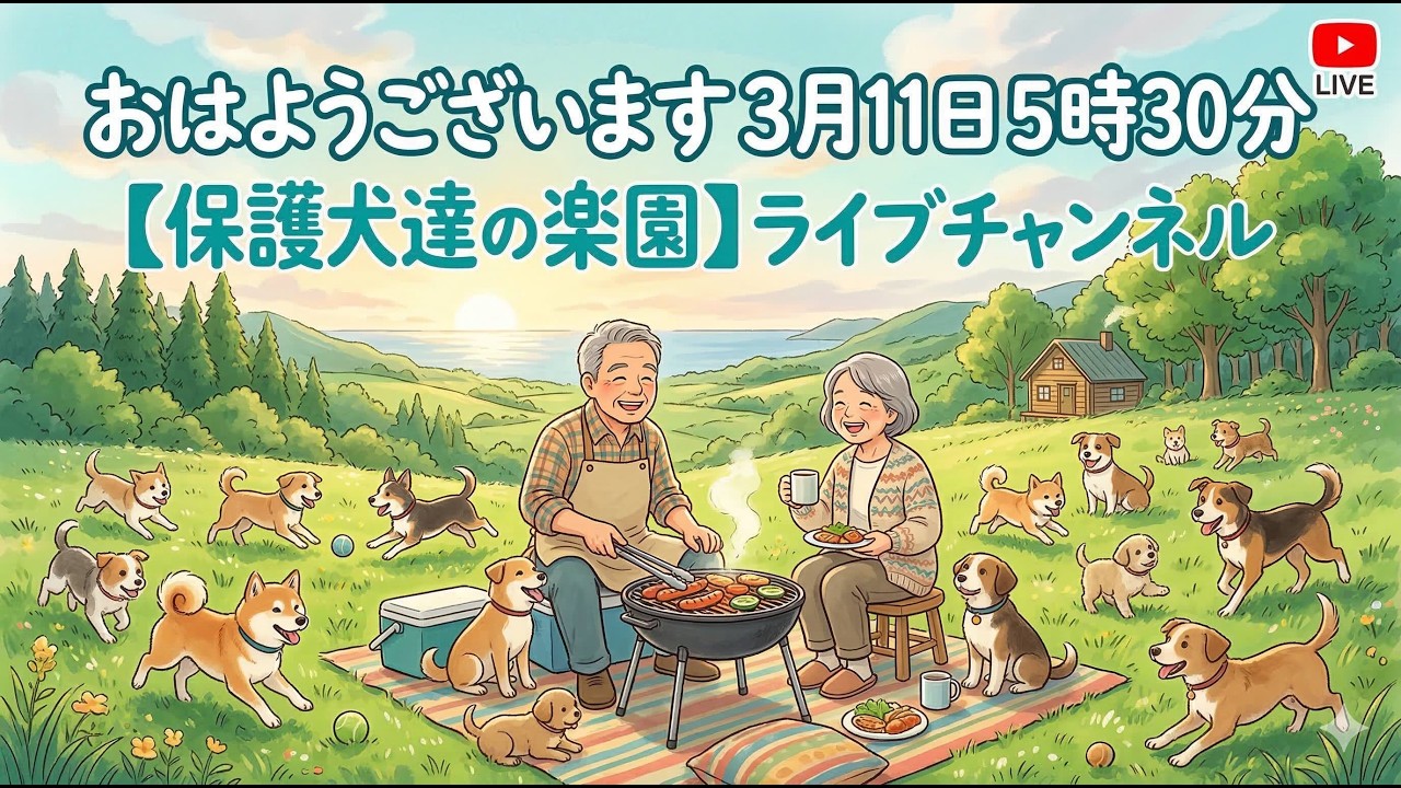 愛犬に関しての考え方　3月11日5時30分