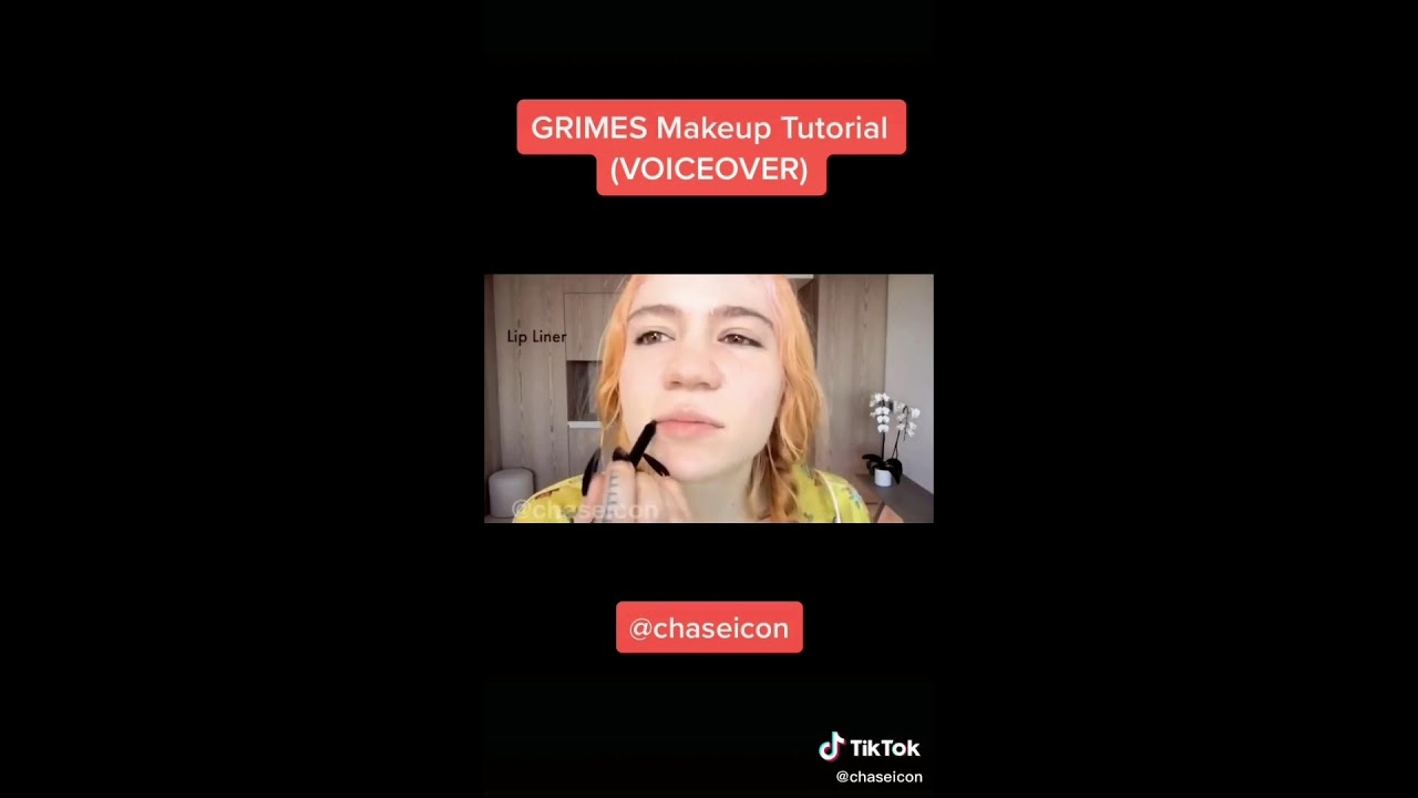 a compilation of chaseicon being an lgbt tiktok legend for 6 minutes straight