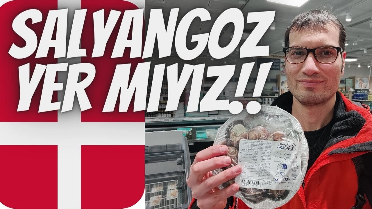 39,387 DAKİKADA DANİMARKA'DA MARKET ALIŞVERİŞİ 🛒 #30