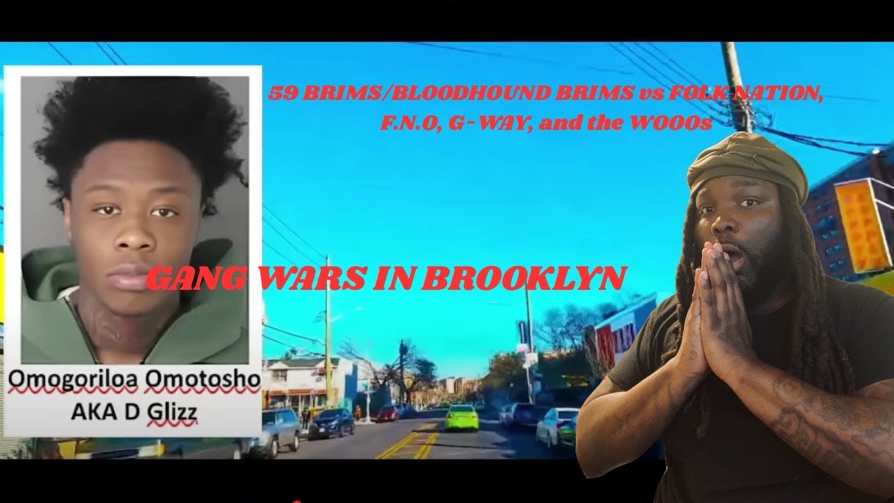 Gang wars in Brooklyn (59 BRIMS/BLOODHOUND BRIMS vs FOLK NATION, F.N.O, G-WAY, and the WOOOs)