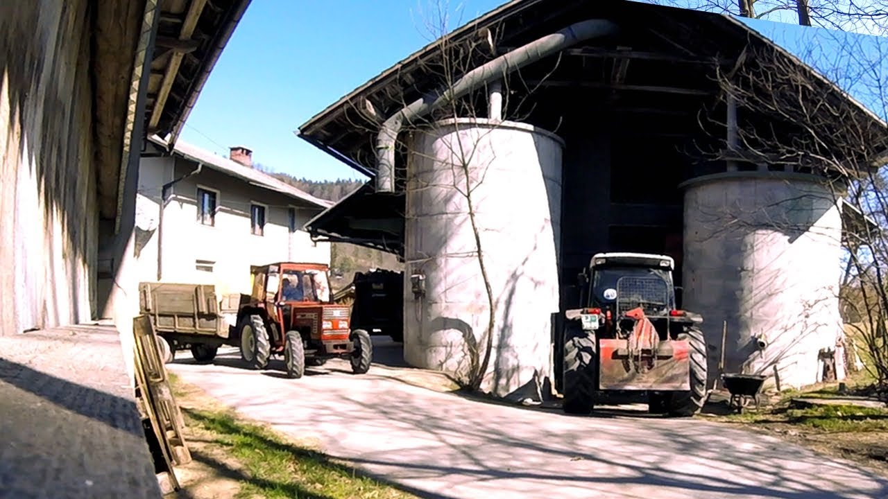 A day on The Farm #12