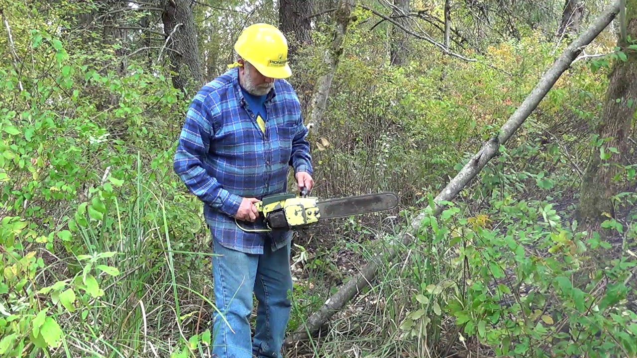 Let's Go Pioneering with Vintage Pioneer Chainsaw