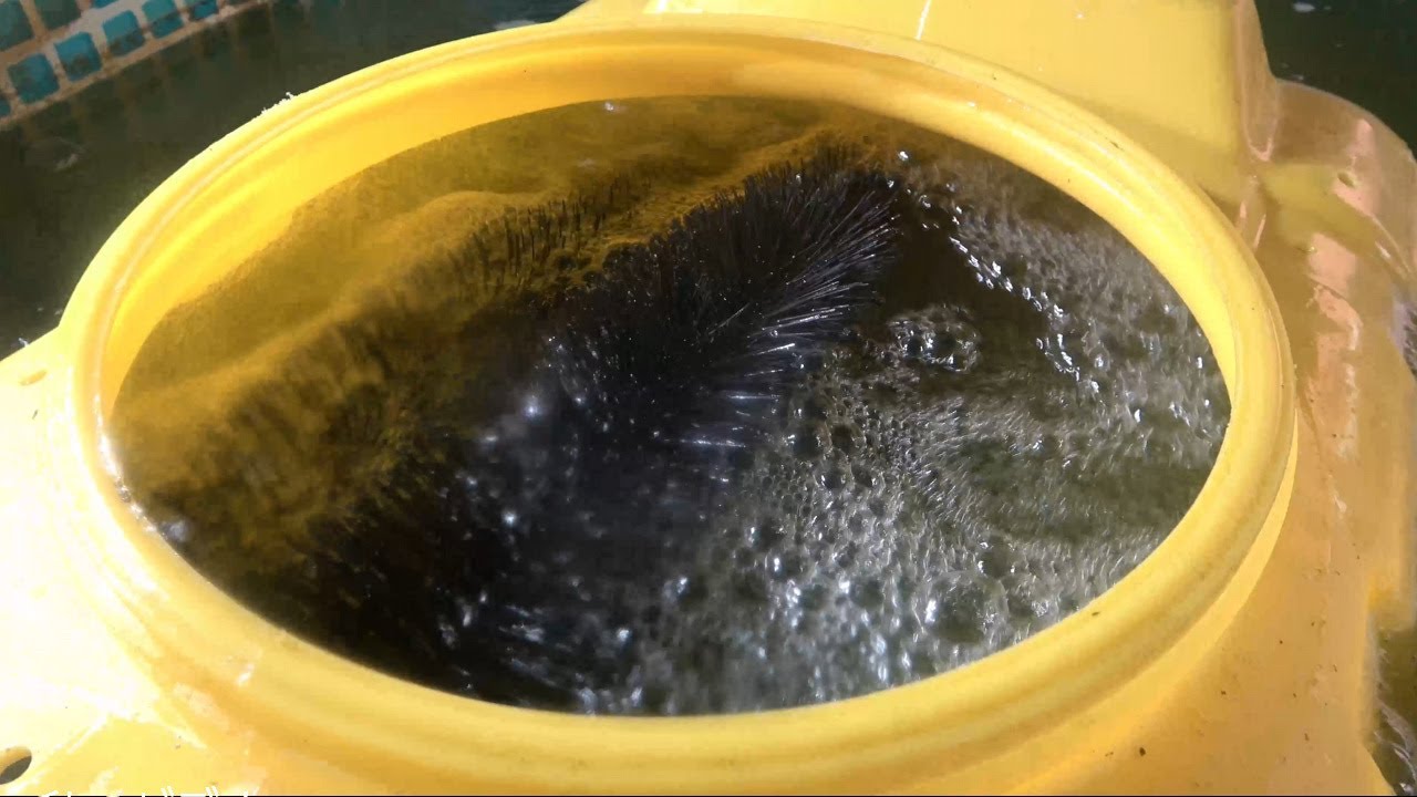 好気性バクテリア大繁殖装置