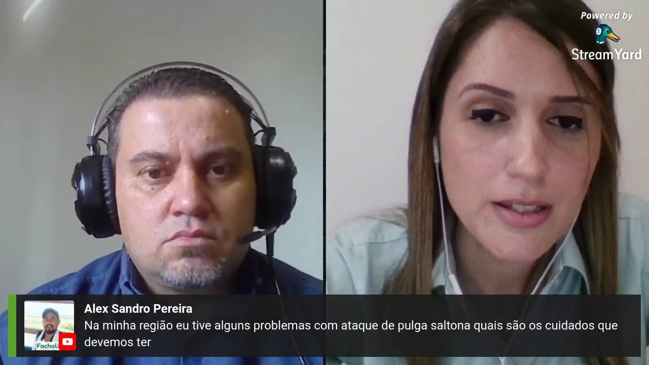 Qualidade de Sementes de Forrageiras da colheita ao plantio