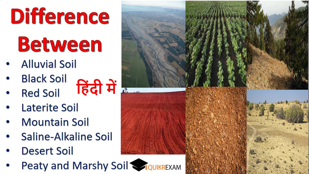 Difference Between Alluvial Black Red Laterite Mountain Saline Alkaline Desert Peaty Marshy Soil