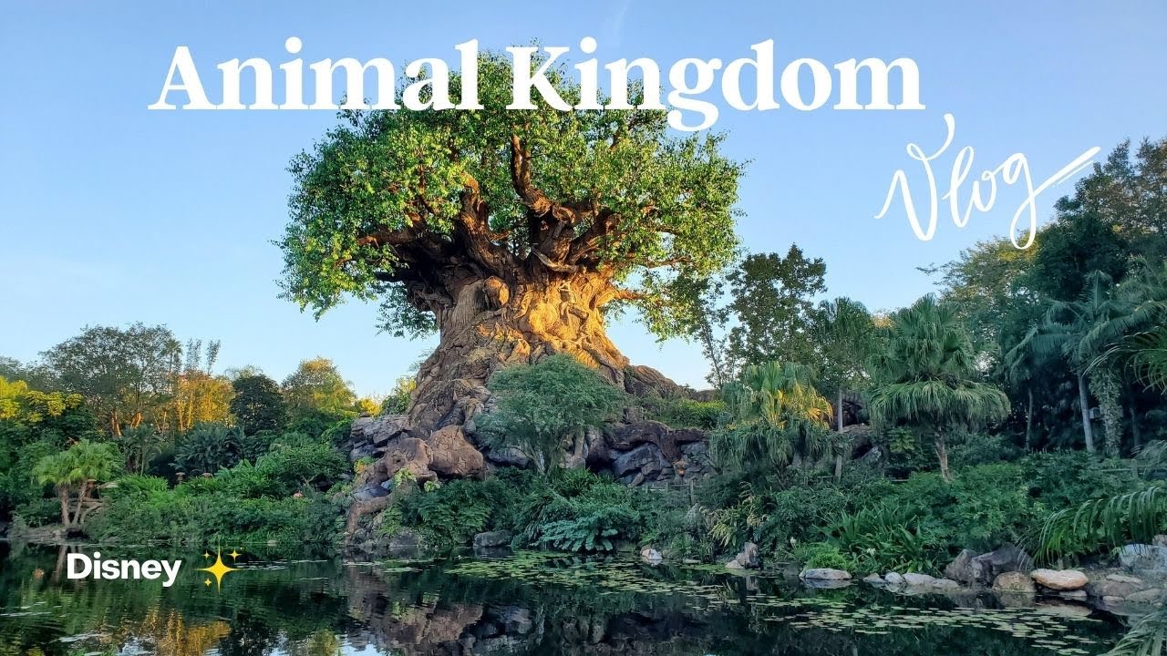 Disney| Animal Kingdom 🦒🌿