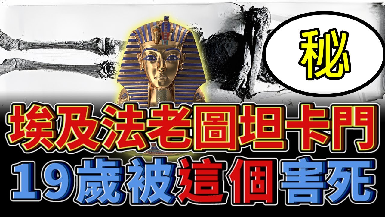 埃及法老圖坦卡門被謀殺?遺體不全?死因揭密！圖坦卡門面貌讓你驚呆？掘墓者遭法老詛咒猝死？｜古埃及文明｜尼羅河女兒｜曼菲士｜KingTut｜李曉菁主播｜JudyVlog