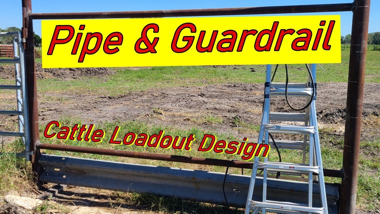 Cattle Pen Design: Cattle Loadout Alley Part 1