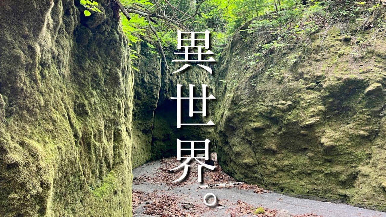 【支笏湖•苔の回廊】息を飲む美しさ/行き方解説
