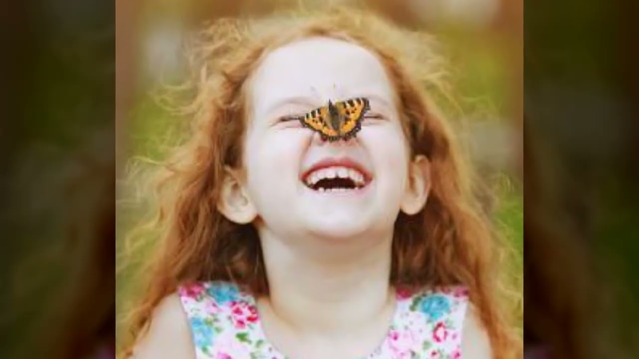 나비, 빛의 길 위에서   ​Butterfly, On the Path of Light [탈피] 시인 박기범
