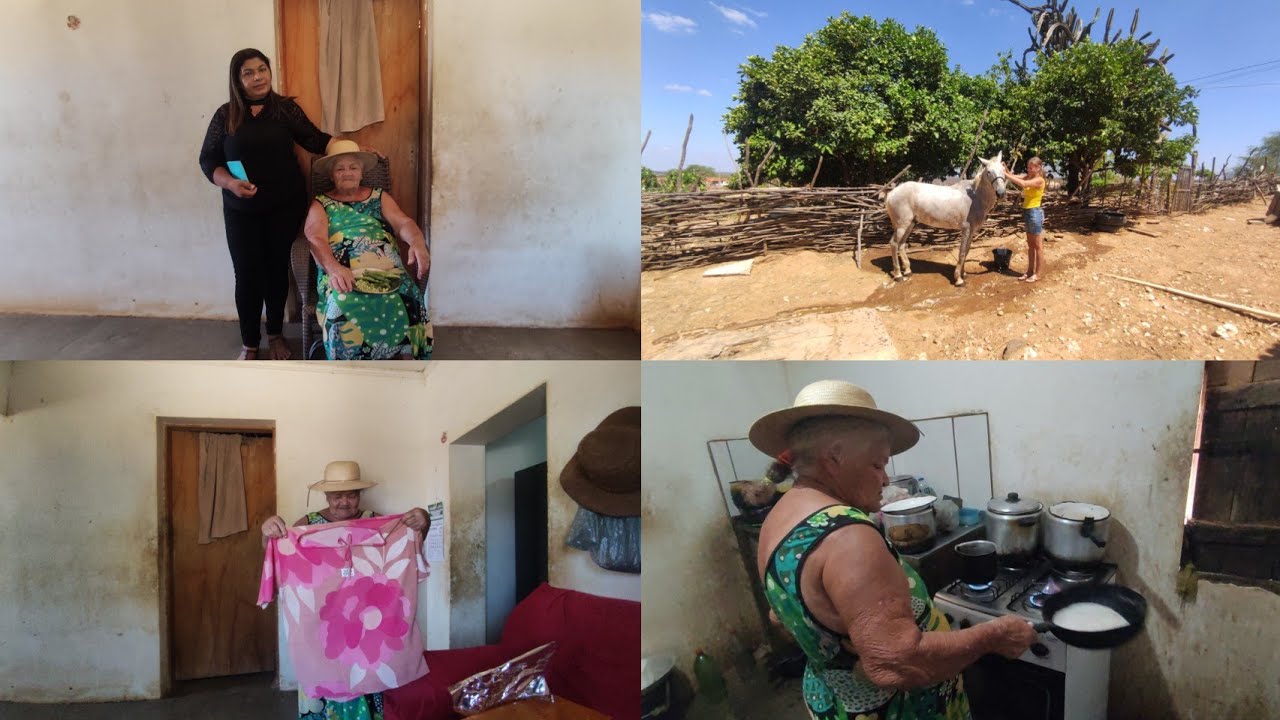 Visitei a nossa querida flor dia dona Alzira,  Márcia cuidando do seu cavalo asa Branca
