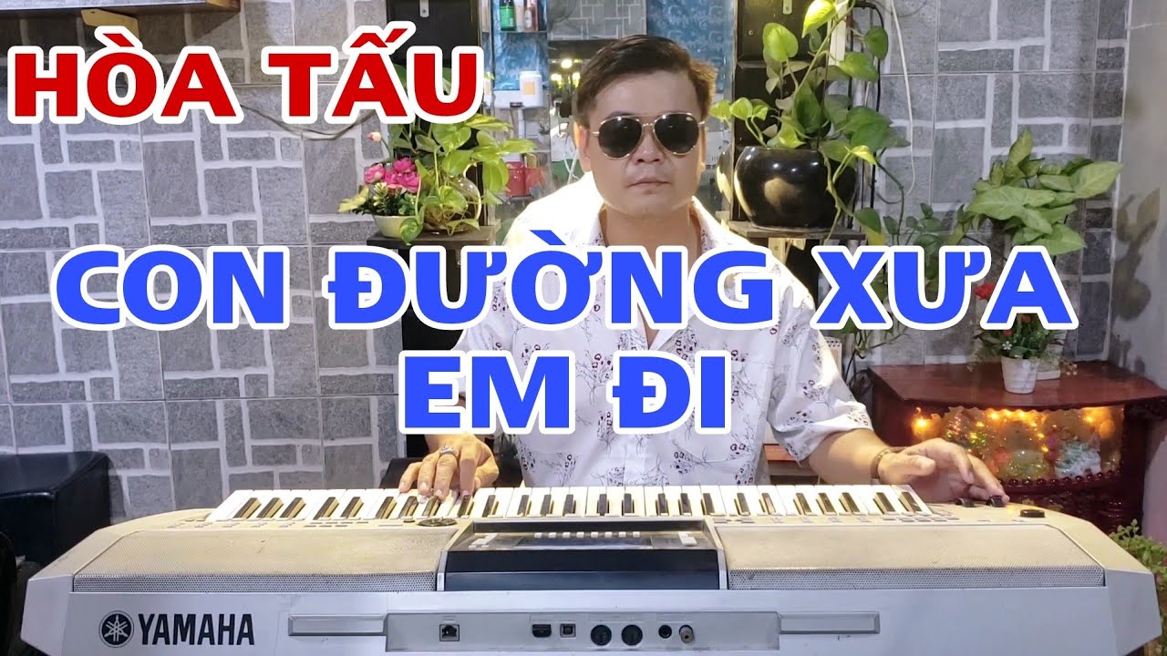 Hòa tấu/Con đường xưa em đi/organ thanhcnc
