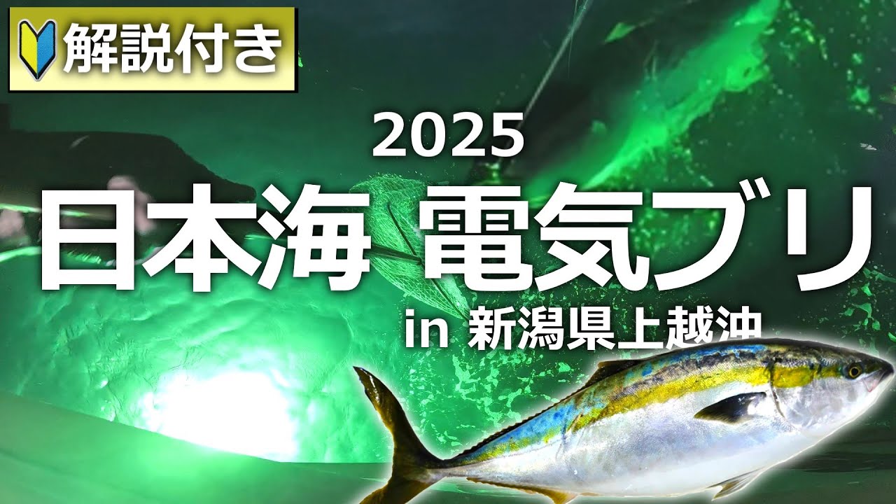 確実に寒ブリを釣りたいなら電気ブリ一択です！リアルをお届けします！