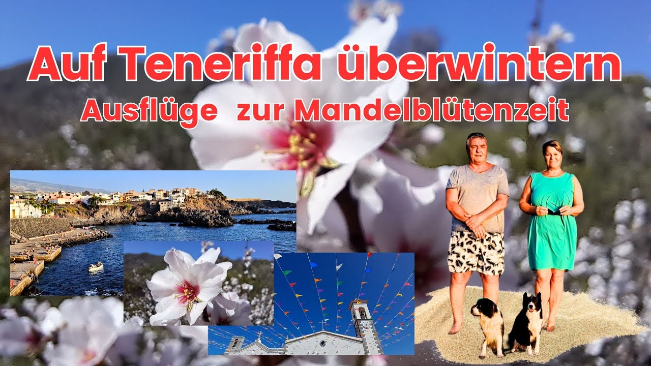 Auf Teneriffa überwintern 2: Ausflüge zur Mandelblütenzeit