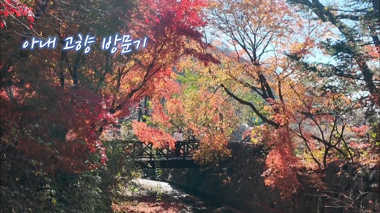 [Life] 아내 고향 방문기. 가족 모두 떠난 옛 고향집을 찾아갔다가 뜻밖의 성지순례와 역대급 단풍을 만나다. 용인 양지 추억여행 (2025년 11월 14일) #은이성지