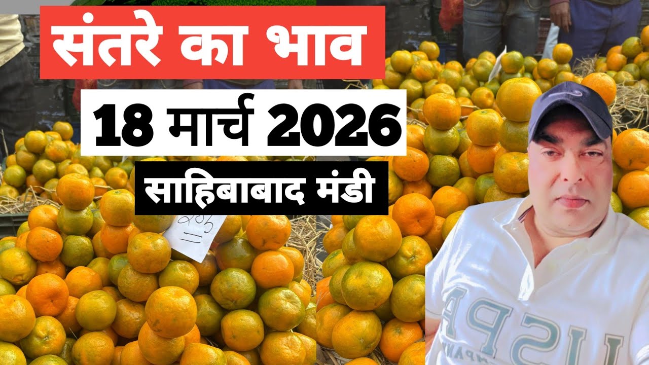 18 March 2026 🍊🍊संतरे का भाव साहिबाबाद मंडी | today orange rates in Sahibabad Mandi 