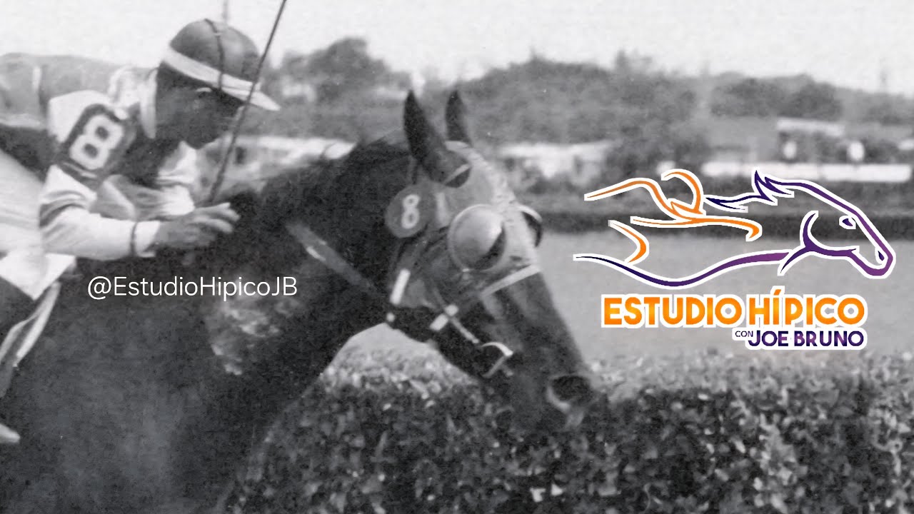 ESTUDIO HIPICO - Domingo 16 De Noviembre De 2025