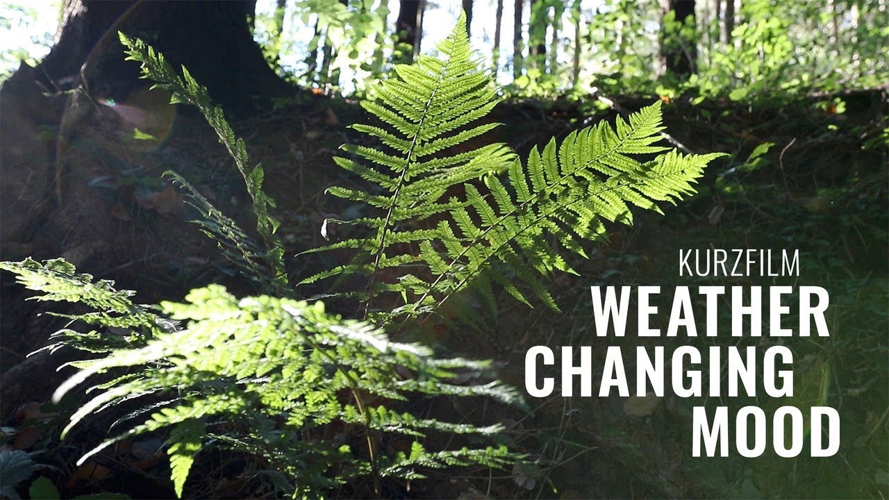 Weather Changing Mood (Kurzfilm) | Wie das Wetter unsere Stimmung ver&auml;ndert