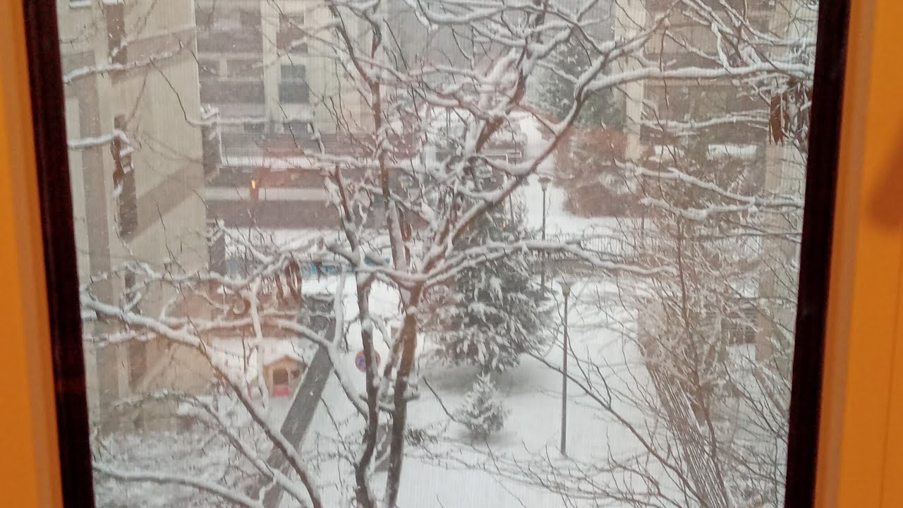 Просто хотим сообщить, что мы всё ещё здесь.