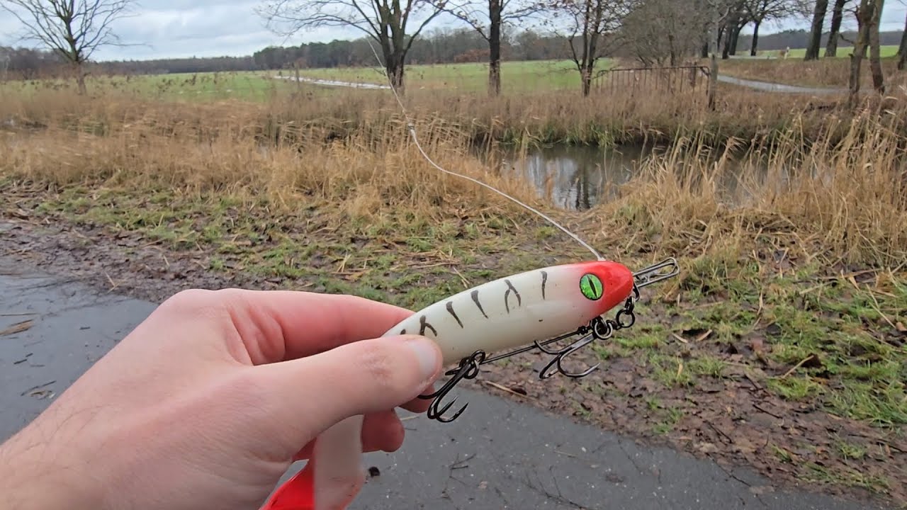 Graben Hechte mit baitcaster ein weiterer Versuch mit twister gummifisch #angeln #fishing 
