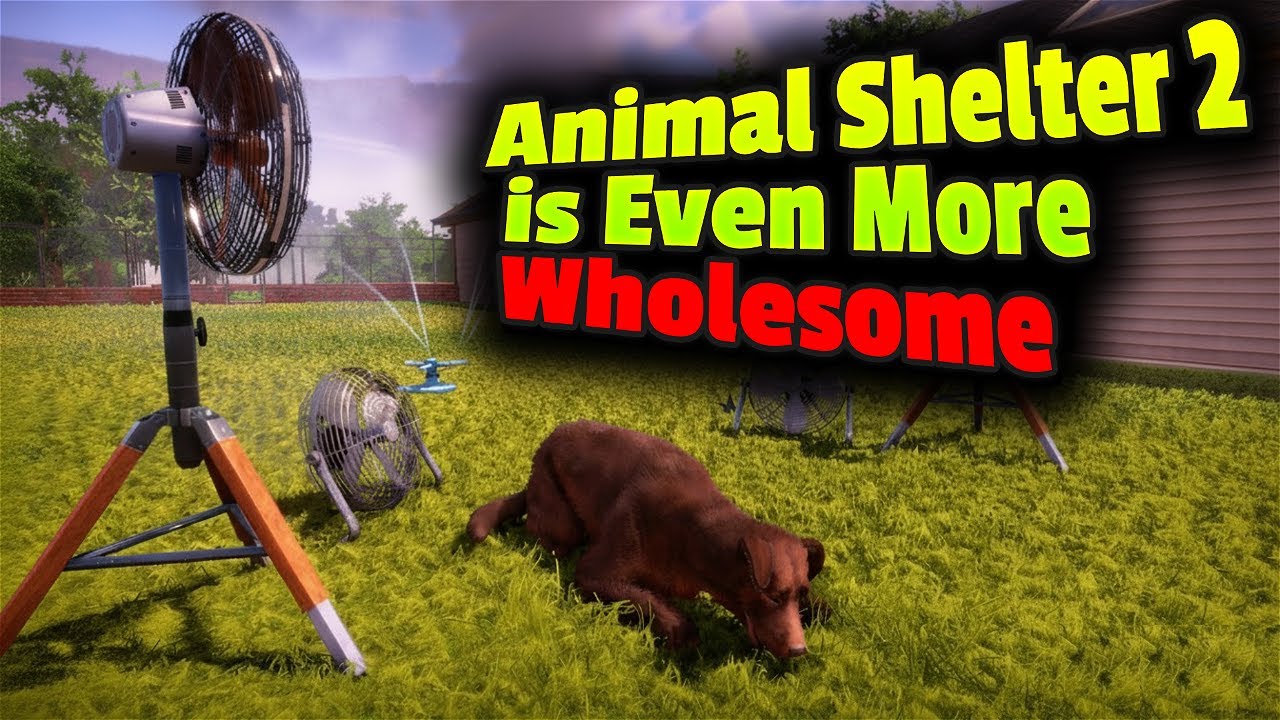 Animal Shelter 2 is Even More Wholesome!