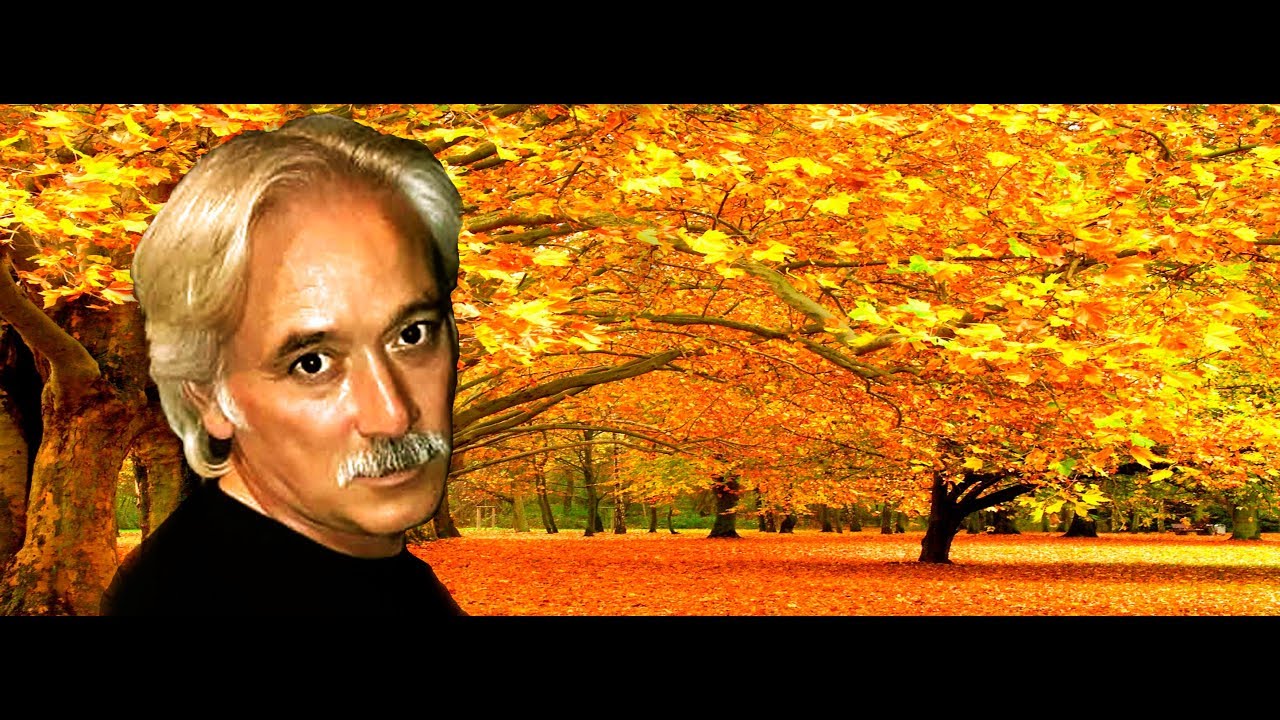 Günel Mövlud - Gəldim deyim ki - Kamran M. Yunis