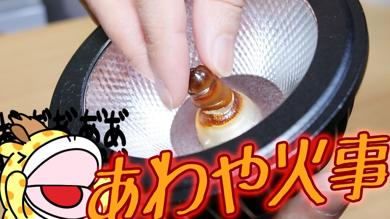 注意！気づかないうちにライトの集光レンズが溶け焦げていました･･･植物育成ライトBRIM(ブリム) COSMO（コスモ）リペアしたら凄く良くなってしまった話し。