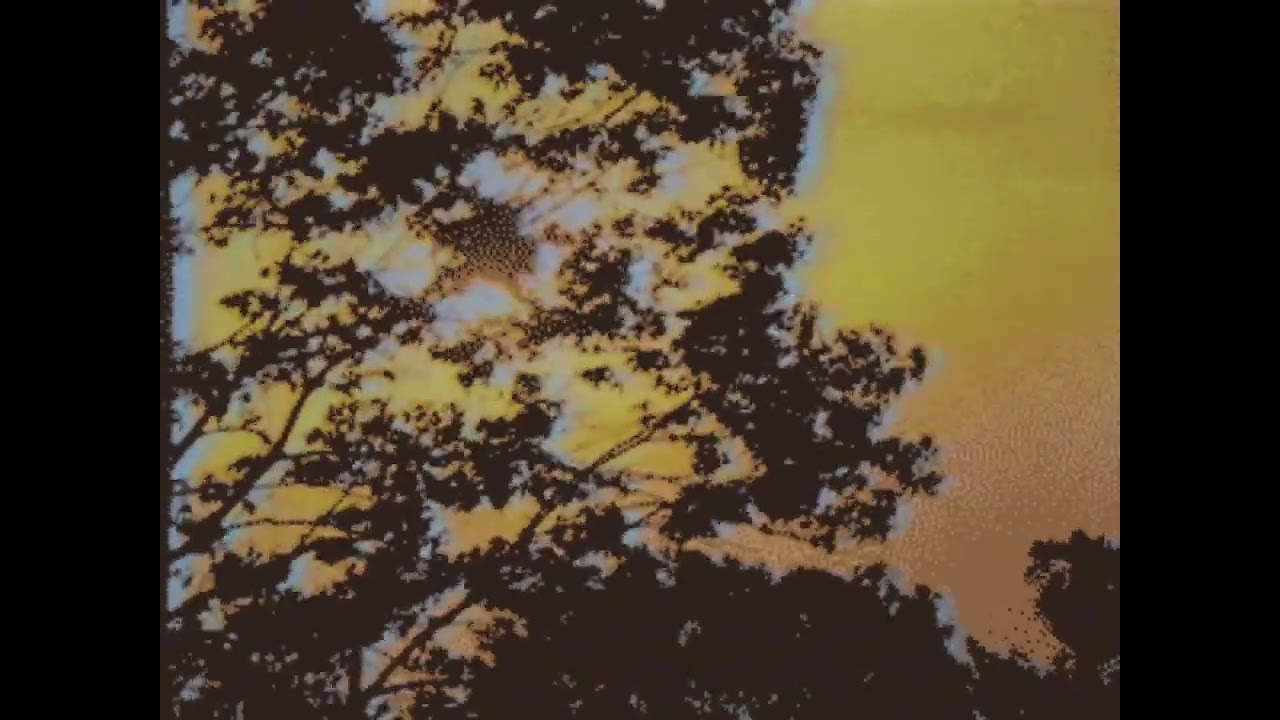 liminal garden - tv outro 