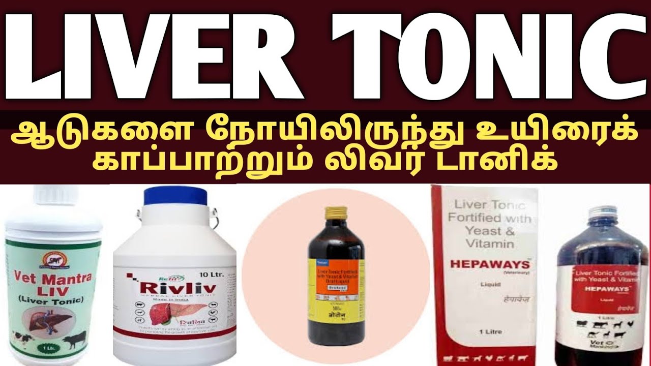 இந்த ஒரு டானிக் ஆடுகளை  நோய் வராமல் காக்கும் . லிவர் டானிக் மற்றும் கல்லீரல் பயன் #livertonic