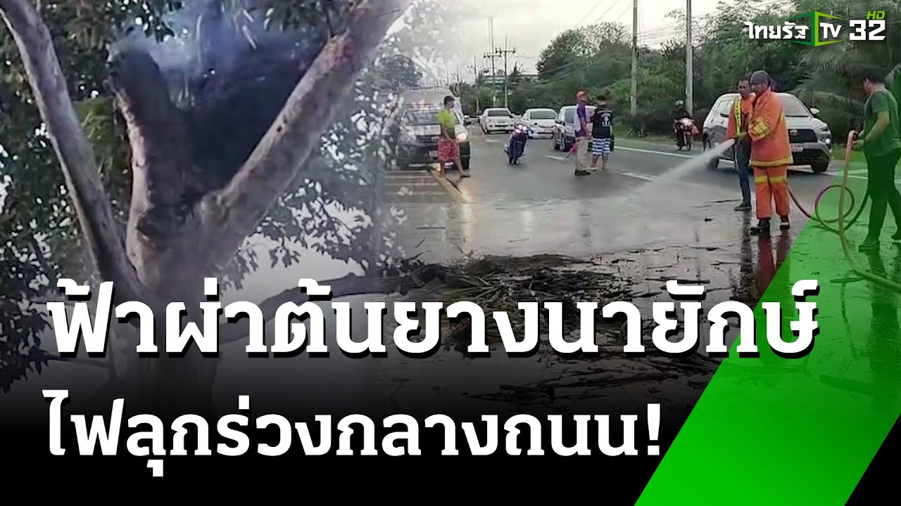ฟ้าผ่า กิ่งต้นยางนายักษ์ ไฟลุกร่วงกลางถนน | 11 เม.ย. 68 | ห้องข่าวหัวเขียว