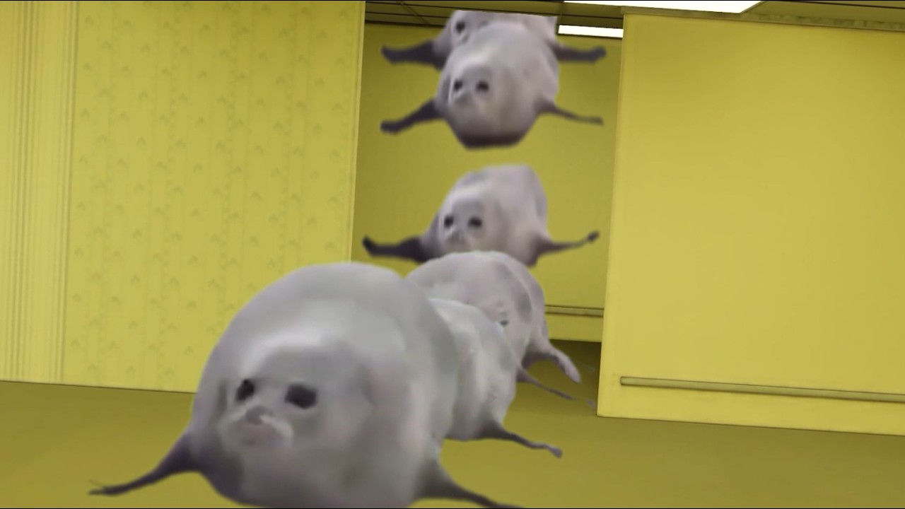 Bouncing Seals In The Backrooms