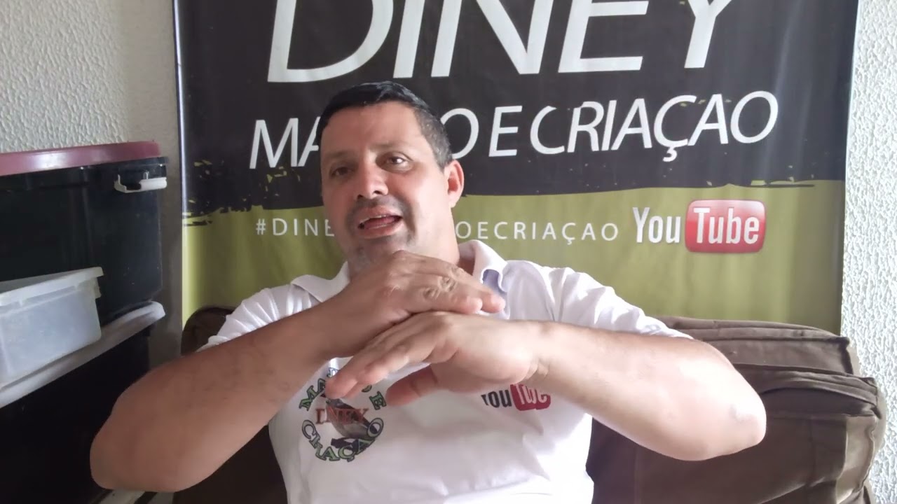 POR QUE OS EMBRIÕES MORRE NO OVO