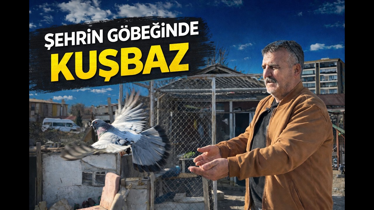 Şehrin Göbeğinde Bir Kuşbaz | Ayhan Elbay’ın Hayvanları ile Kurduğu Dünya