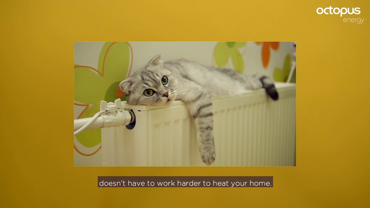 Energy Saving Tips