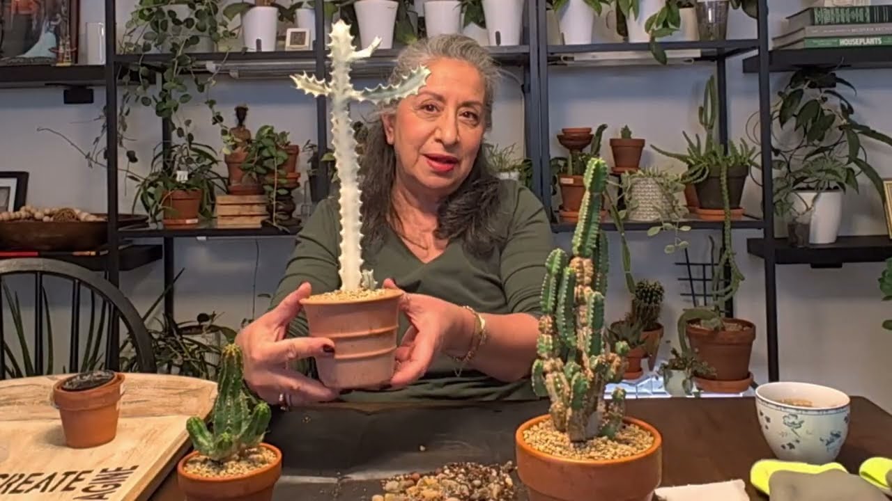 Plant Care on a Grey Day 🌧️🌿