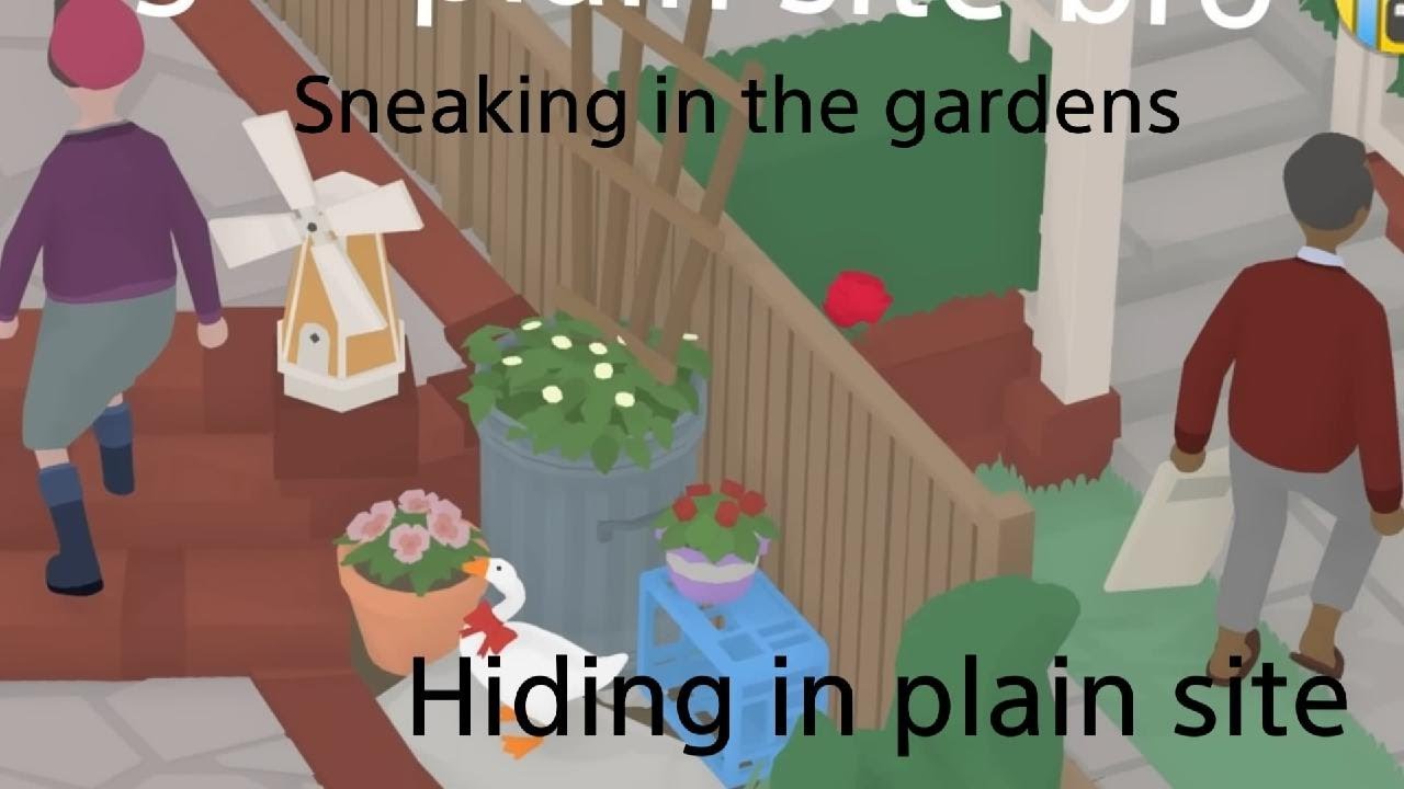 Untitled goose gaming