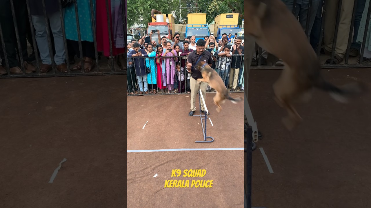 Thudarum Iconic jumb K9 Squad Kerala Police Part-2#keralapolice #dogsquad #dog #thudarum #mohanlal