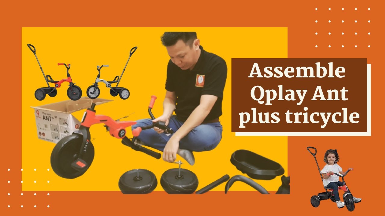 How to Assemble QPlay Ant Plus | LittleWhiz.com |Tricycle