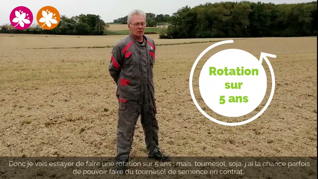 La pratique du non-labour avec le rotavator et le culti-vi