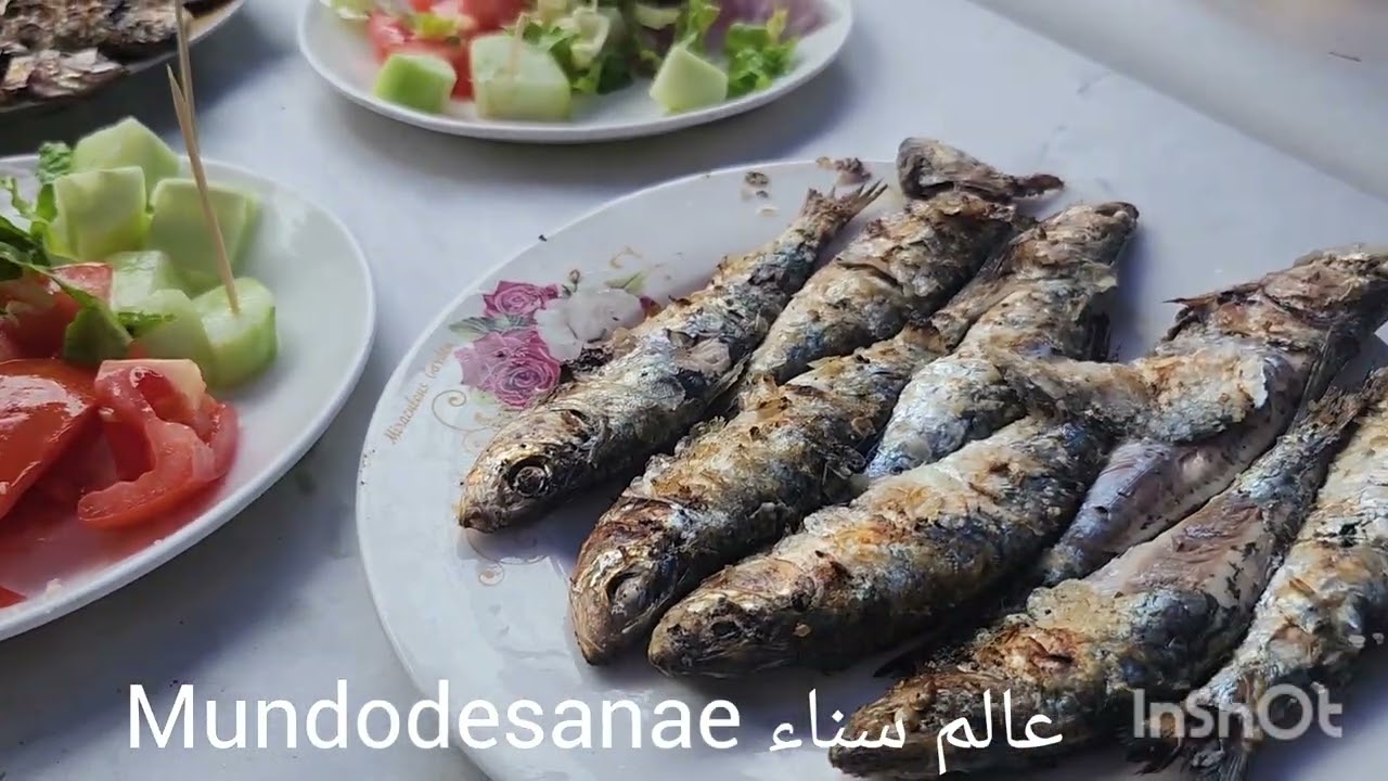 يالله ندوزو نهار  في  تطوان والنواحي🇲🇦vlog🇲🇦